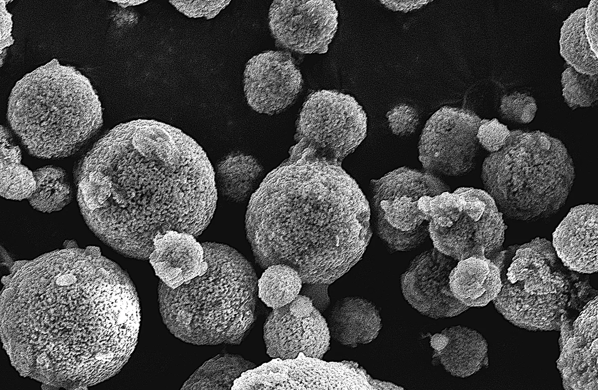 Scanning electron microscope image of Crystron cathode active material particles